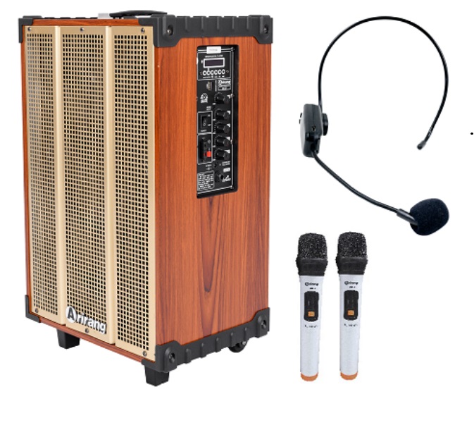  tiêu chí chọn mua loa kéo 